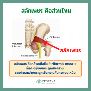 4 ท่าเด็ด พิชิตปวด สลักเพชร - Zenvana Wellness Spa